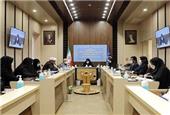 برگزاری نشست هم‌اندیشی معاون رییس جمهور با کمیته امداد و مشاوران امور بانوان دستگاه‌های اجرایی