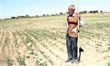 آخرین میخ ها بر تابوت کشاورزی ایران