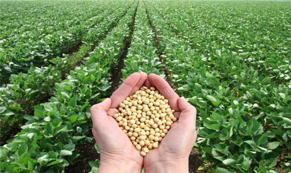 محصولات کشاورزی آمازون در راه ایران
