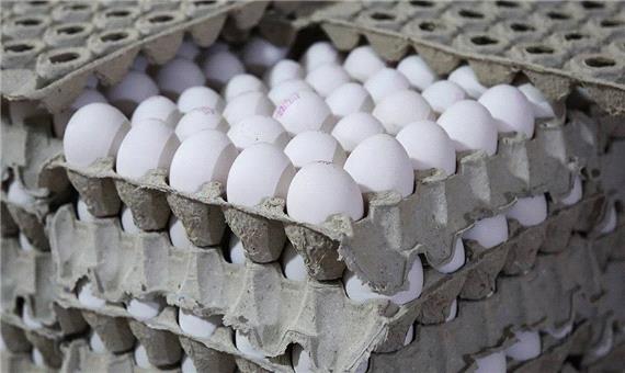 تکذیب خبر ممنوعیت صادرات مرغ و تخم مرغ به عراق