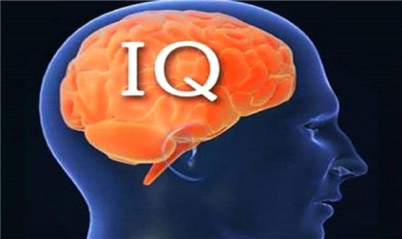 مهارت زندگی/ 13 پیشنهاد برای افزایش IQ در سنین بالا