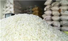 پستونشینی برنج‌های ایرانی