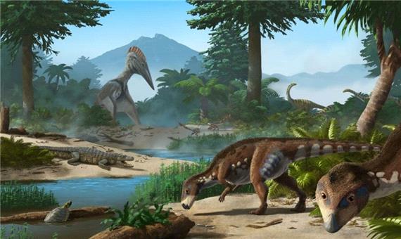 محققان گونه جدیدی از دایناسورها را در رومانی کشف کردند