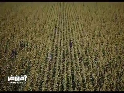 گزینه اصلی سینمای ایران برای جایزه اسکار ۲۰۲۶