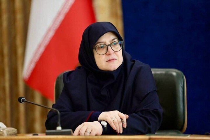 مهاجرانی: عراقچی و لاریجانی هر دو جزو تیم رئیس‌جمهور هستند