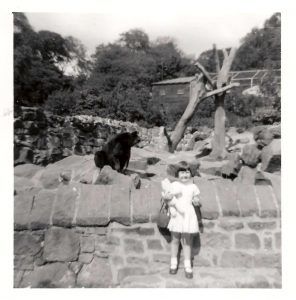 اخبار محرمانه