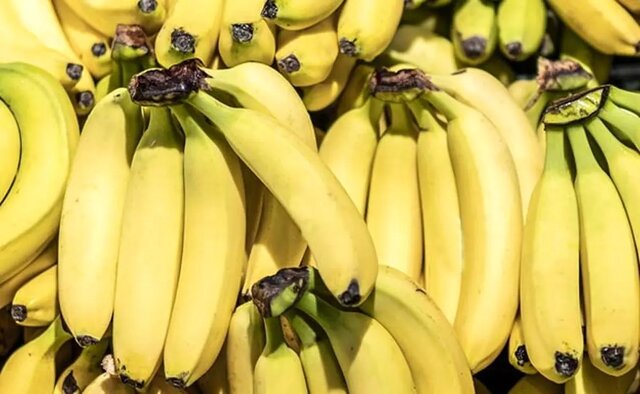 رانت واردات موز در قبال صادرات سیب!