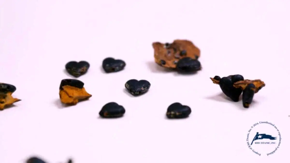 اخبار محرمانه