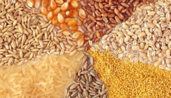 سقف جدید نرخ ارز نهاده‌های دام و طیور اعلام شد