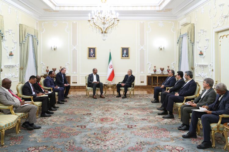 پزشکیان: بریکس می‌تواند الگوی ارتباطی نوینی برای تقویت همکاری‌های کشورهای عضو ارائه دهد