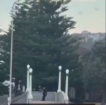 لحظه‌ کشته شدن تیرانداز دوم در استرالیا توسط پلیس