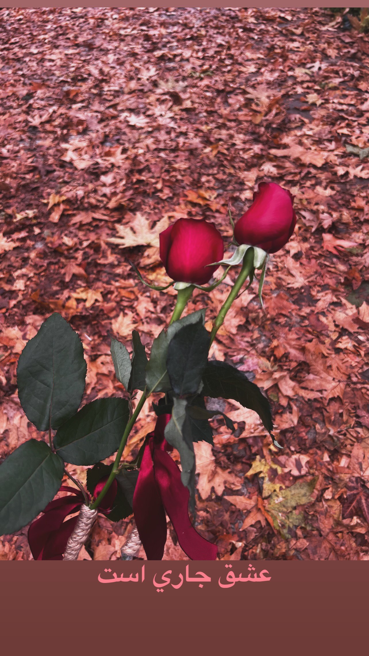 اخبار محرمانه