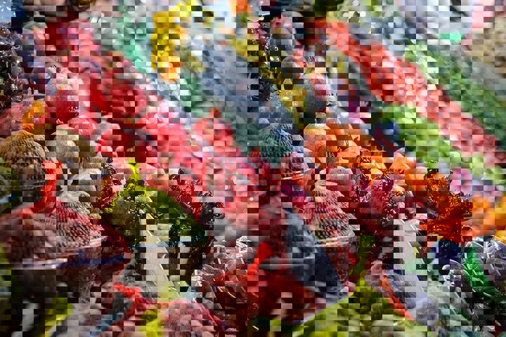 آخرین وضعیت قیمت‌ها در بازار میوه شب یلدا