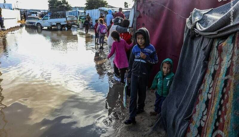 هشدار« سازمان پزشکان بدون مرز» نسبت به اوضاع فاجعه بار غزه در فصل سرما