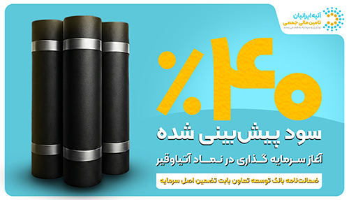 سرمایه‌گذاری در پروژه پتروشیمی با ۴۰ درصد سود ‌پیش بینی شده و ضمانتنامه بانکی