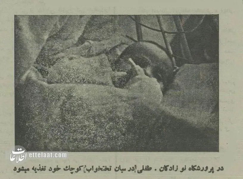 اخبار محرمانه