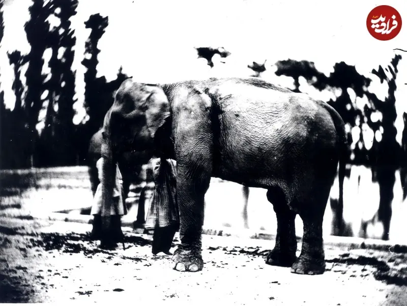 اخبار محرمانه