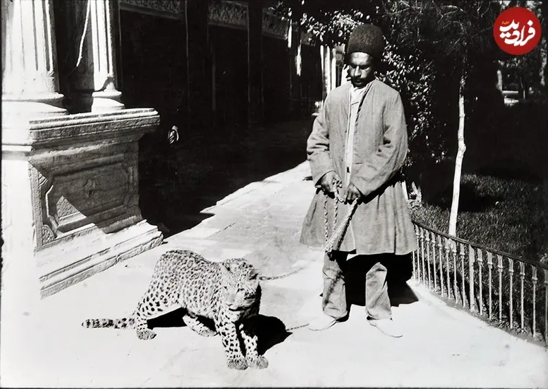 اخبار محرمانه