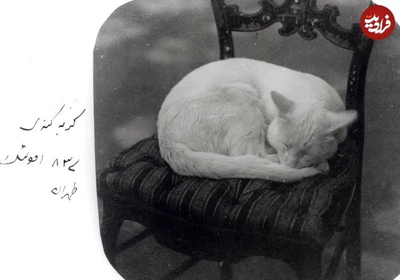 اخبار محرمانه