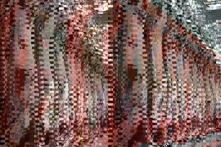 دبیر انجمن واردکنندگان فرآورده‌های دامی: قیمت تمام‌‌ شده گوشت ۱.۵ میلیون است