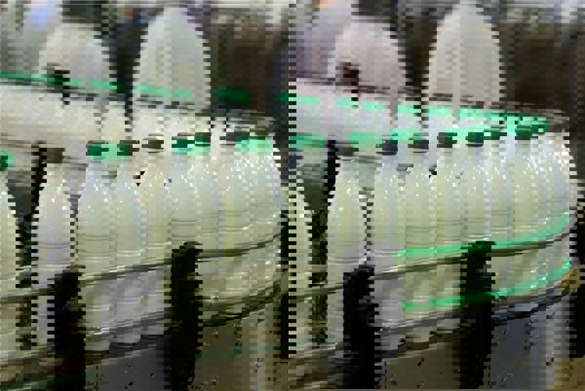 جراحی ناکام شیر؛ تأثیر جراحی اقتصادی دولت‌ها بر سفره خانوار