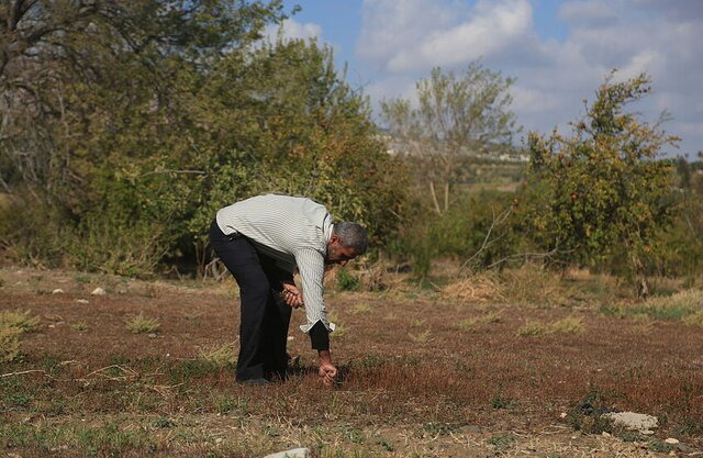 سم‌پاشی ارتش اسرائیل در مزارع گندم حومه قنیطره سوریه