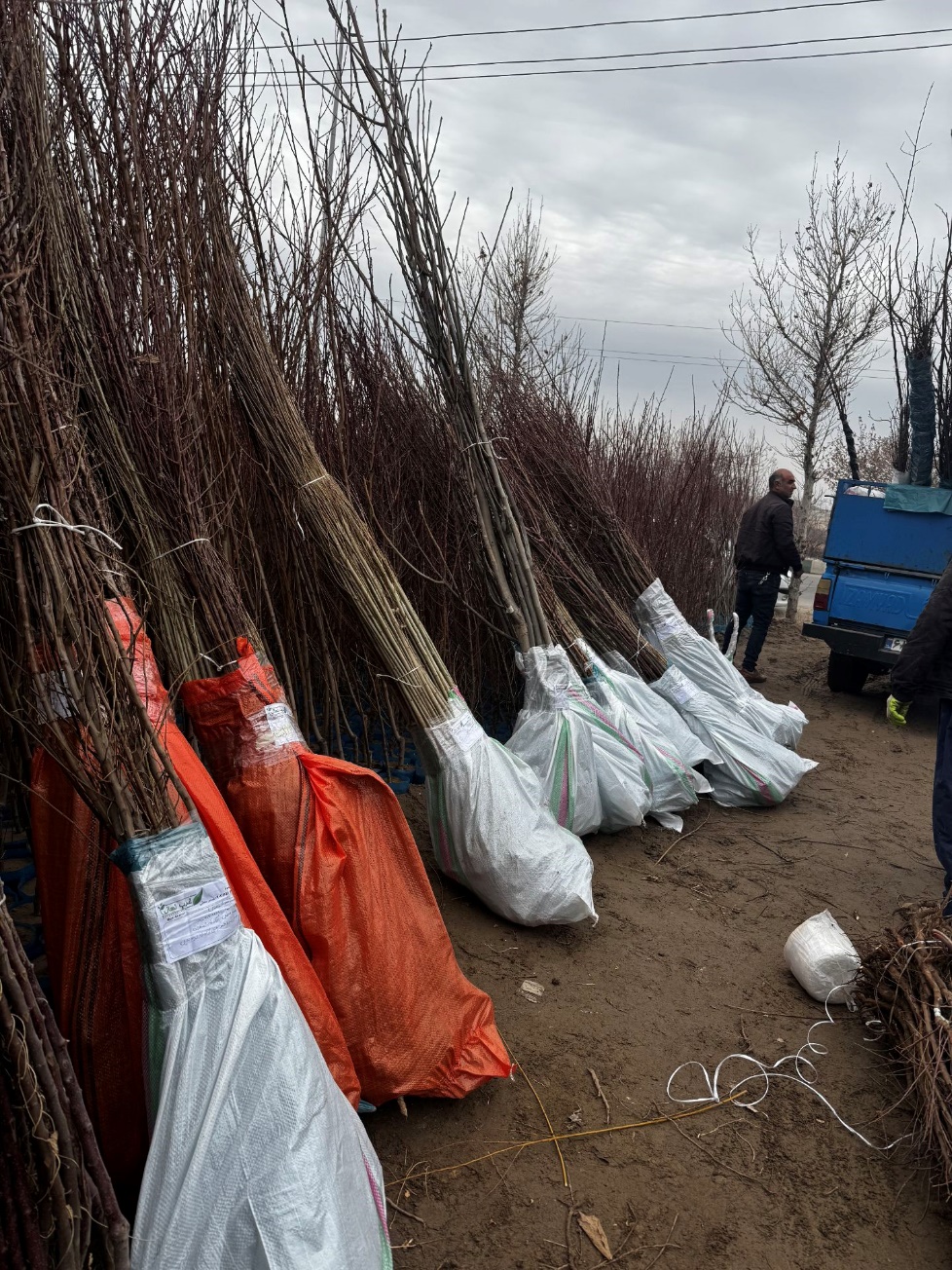 اخبار محرمانه