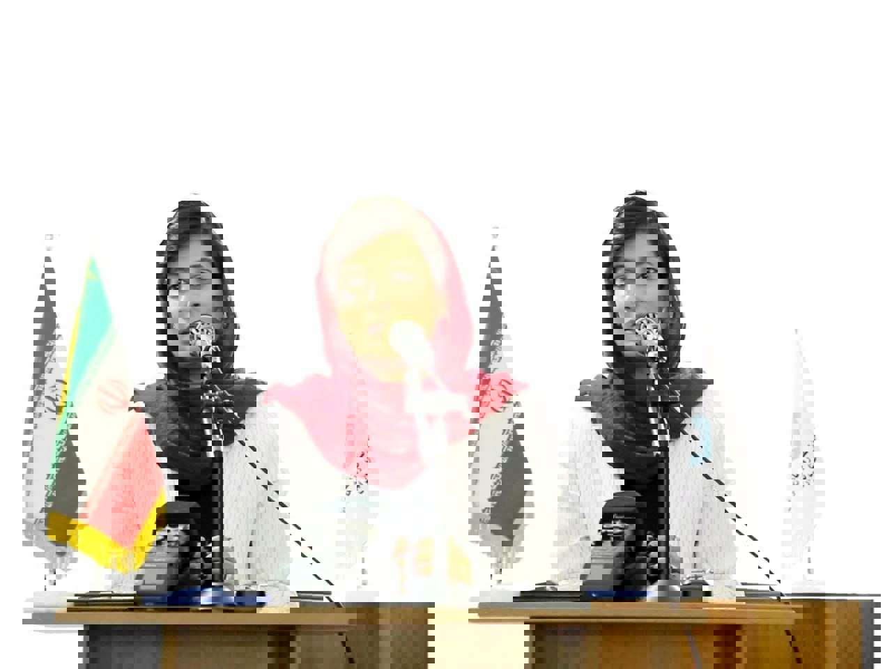 الهه محمدی بازداشت نشده است