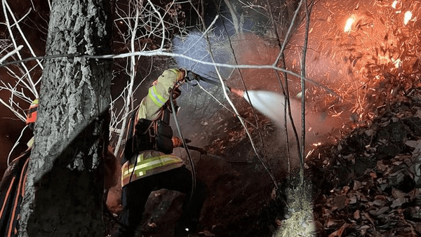 اخبار محرمانه