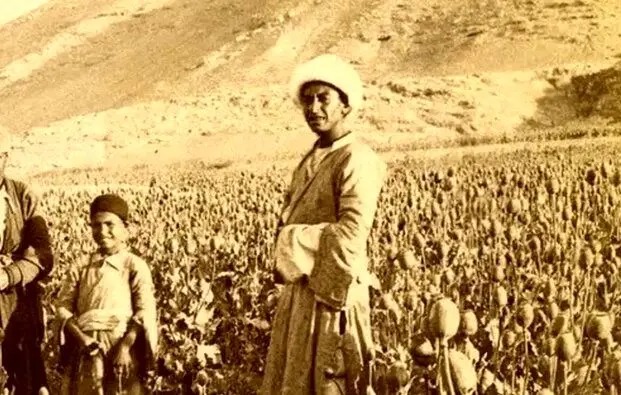 مزرعه «خشخاش» در اطراف اصفهان در دوران قاجار
