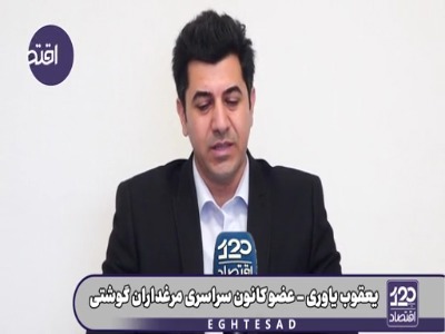 دلایل گرانی مرغ و گوشت چه بود؟