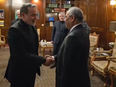 دیدار دبیرکل D۸ با سید عباس عراقچی