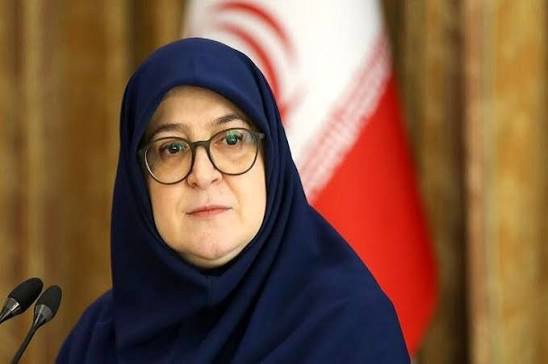 سخنگوی دولت: مردمانی که از روی پل به شهادت رسیدند داخل ماشینشان اورانیوم نداشتند