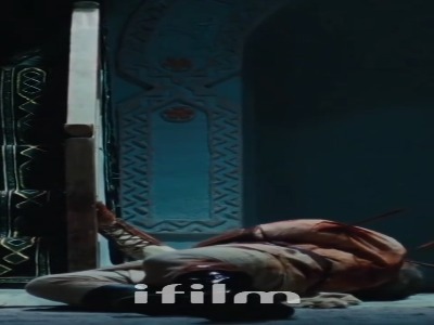 می خواهد در مقتل علی (ع) بمیرد....