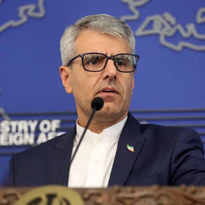 بقائی: قوانین بین‌المللی برای بازداشت جنایتکاران صهیونیست قابل امحاء نیست