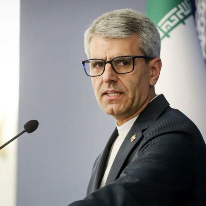 بقایی: ایران و عمان درباره تردد در تنگه هرمز به تفاهم رسیدند