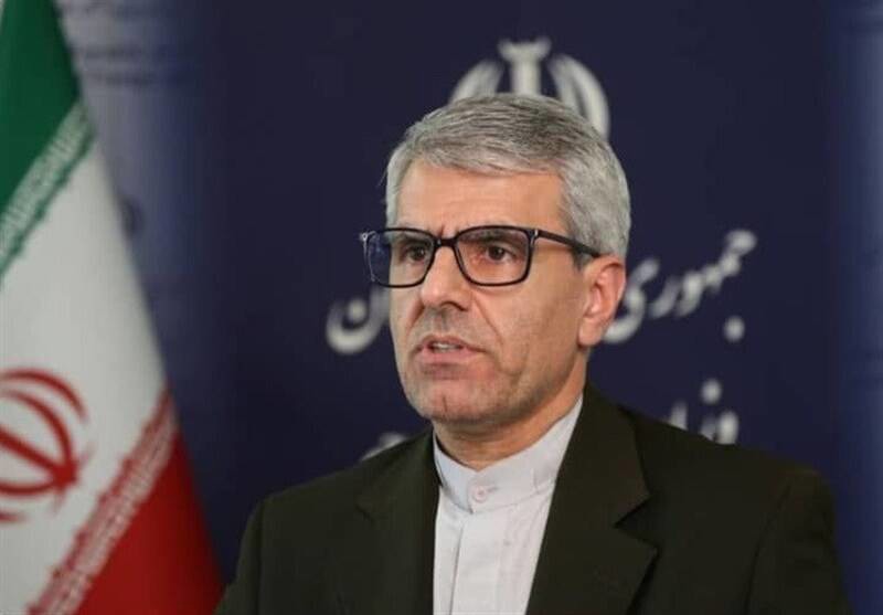 بقایی: تعامل با طرف آمریکایی از طریق میانجی قطری بود