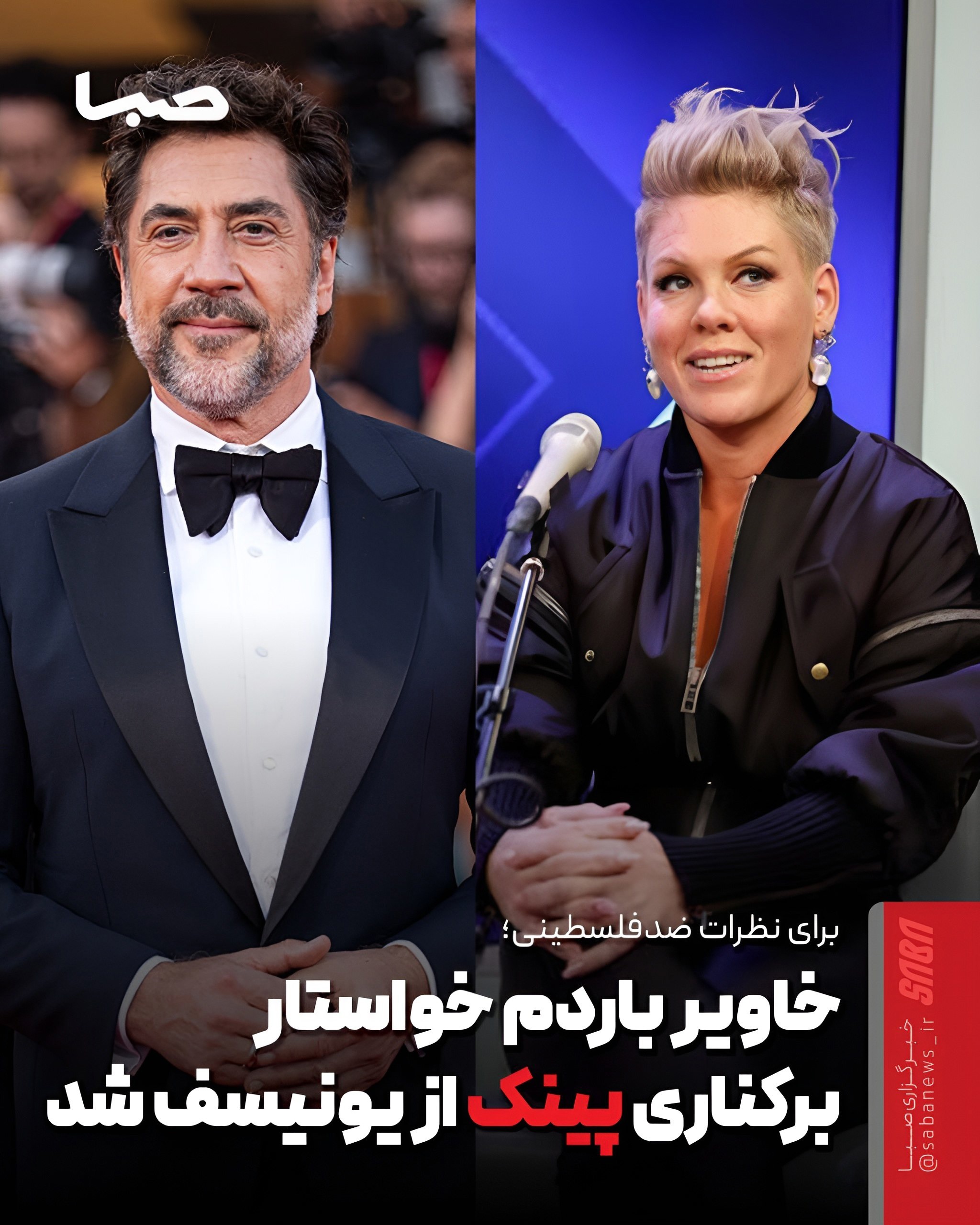 خاویر باردم برای نظرات ضدفلسطینی پینک خواستار برکناری او از یونیسف شد