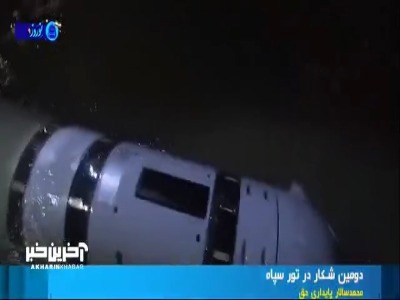جزئیات شکار دومین زهپاد آمریکایی توسط سپاه